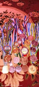 Спортивные медали по теннису