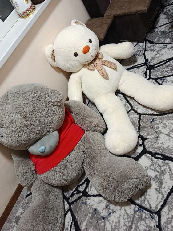 Teddy, ayiq sotiladi!! — 1