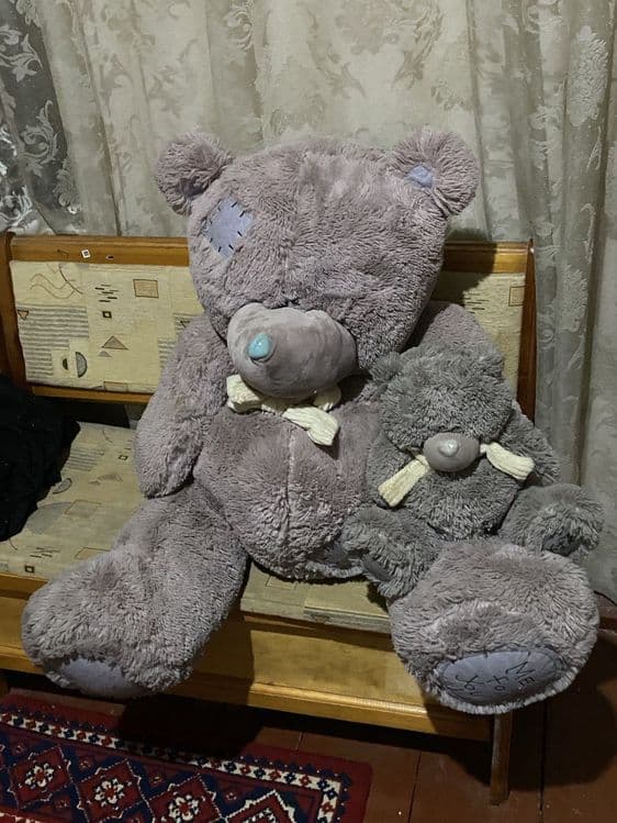 Teddy Ona Va Bola Ayiq Sotiladi Narxi 250000 SROCHNA SOTILADI — 1