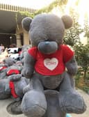 Teddi Teddy 2metrli