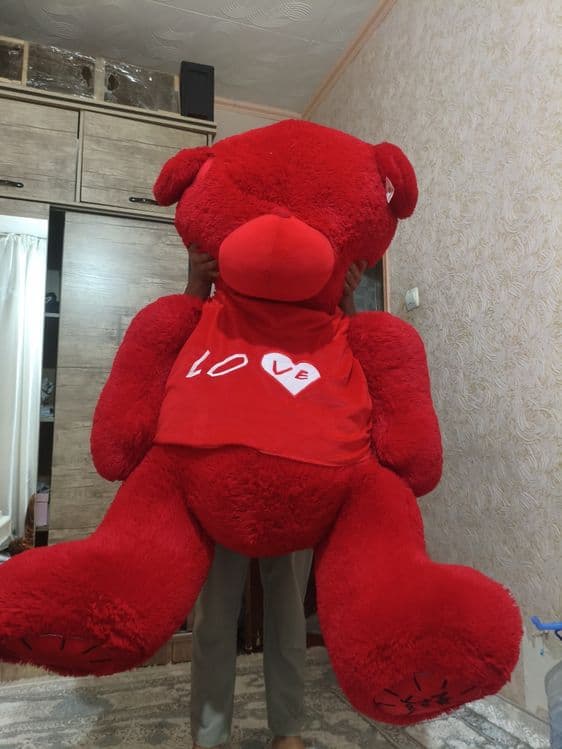 Teddy ayiqcha katta — 1