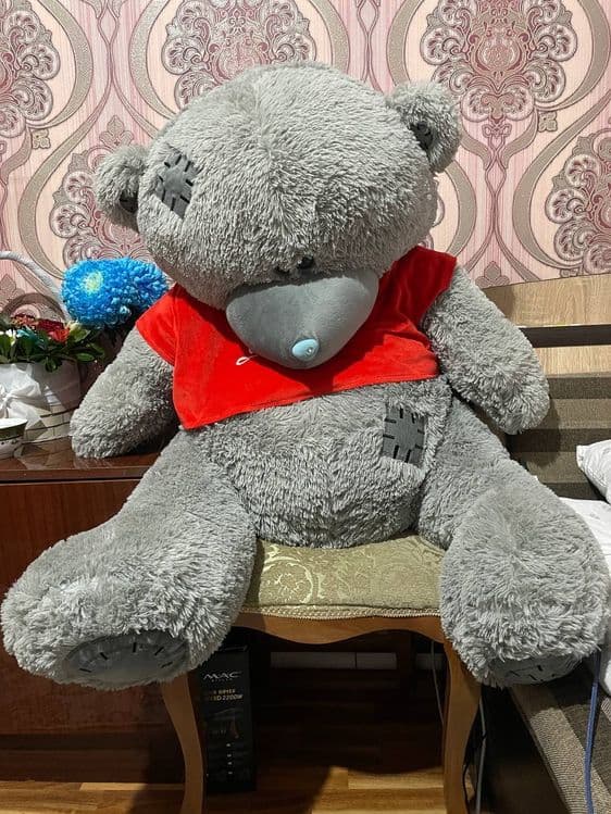 Tedy 1.5 m ayiqcha — 1
