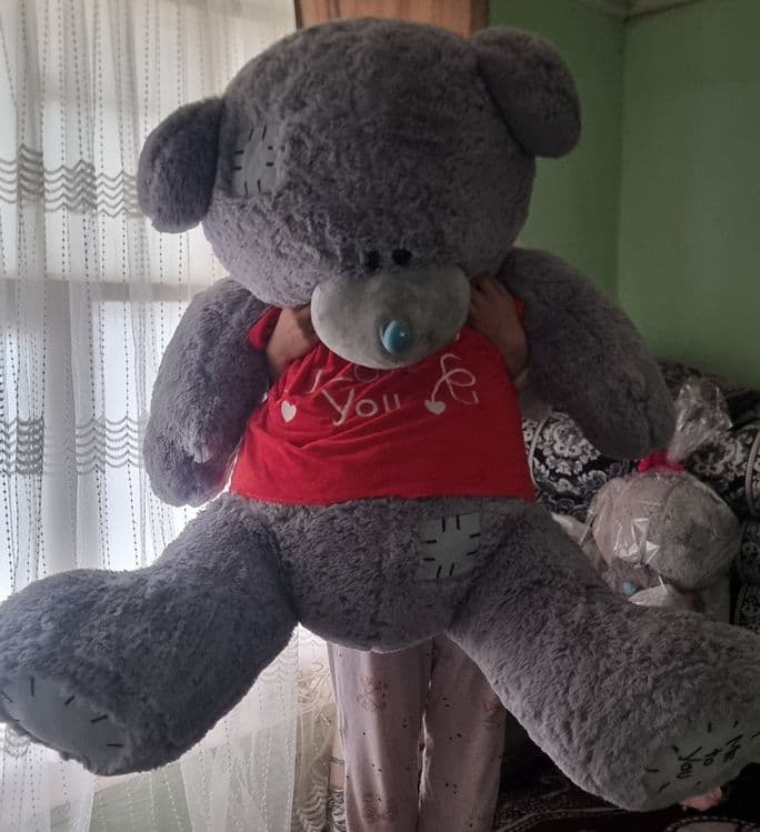 Tedy 1.5 m dogi yuq — 1