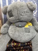 Yumshoq teddy ayiqcha sotiladi