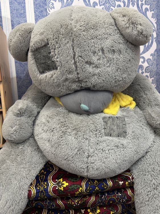 Yumshoq teddy ayiqcha sotiladi — 1