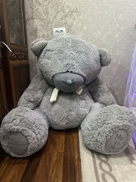 350.000 so’mga 70sm li ayiq. Holati juda yaxshi. — 1