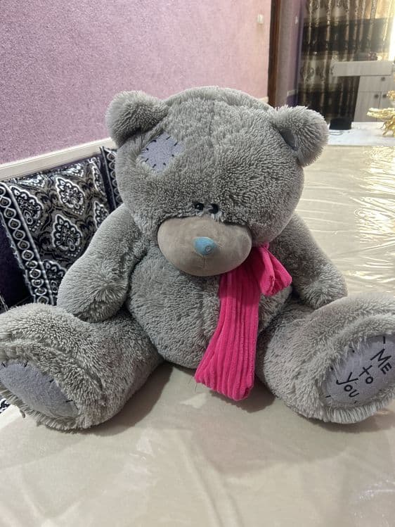 Teddiy ayiq ortacha kattalikda yangi sfati zor — 1
