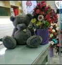 Teddi Teddy 1+1 mega aksiya