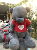 Teddi 1+1 Teddy eng arzon narxlarda (45.sm. 3 metrgacha)