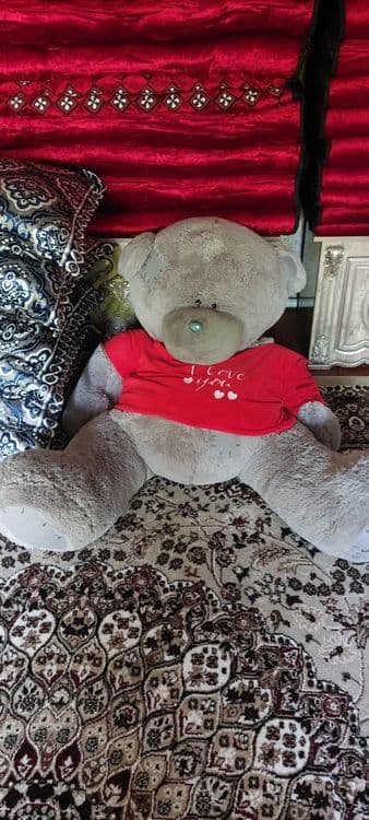 Yumshoq oʻyinchoq teddy ayigʻi — 1