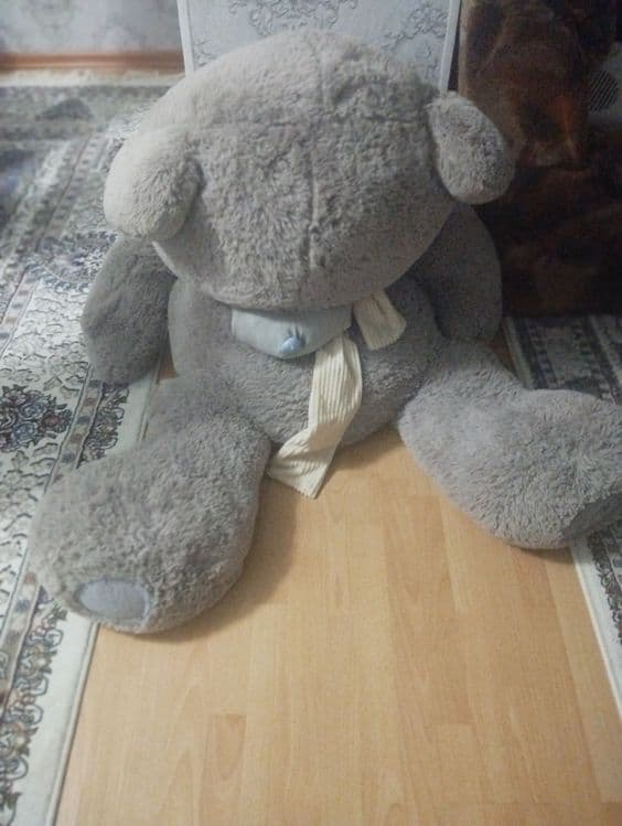 Yumshoq teddy oyinchoq — 1