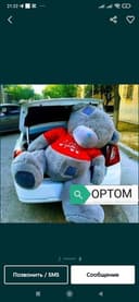 "TEDDY" arzon narxlarda