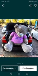 Teddy teddi ayiq