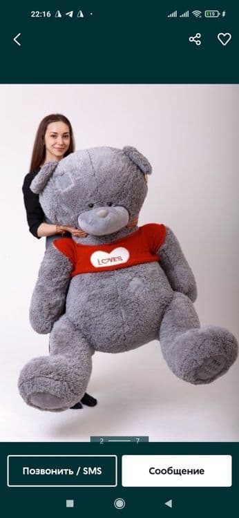 Teddi + Teddy+Тедди.. (50sm. 3metr) — 1