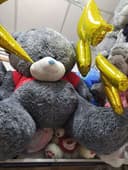 Teddy 1yarim metirlisi