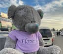 Teddy original xitoy