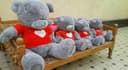 Тедди Teddy Teddi Teddiy по, Оптовым цена Teddy ayig'i original Mishka