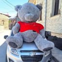 Teddy bear Mishka Teddi 120 metr