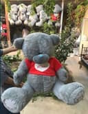 Teddy ayiqchalar Teddi teddi orginal xitoy