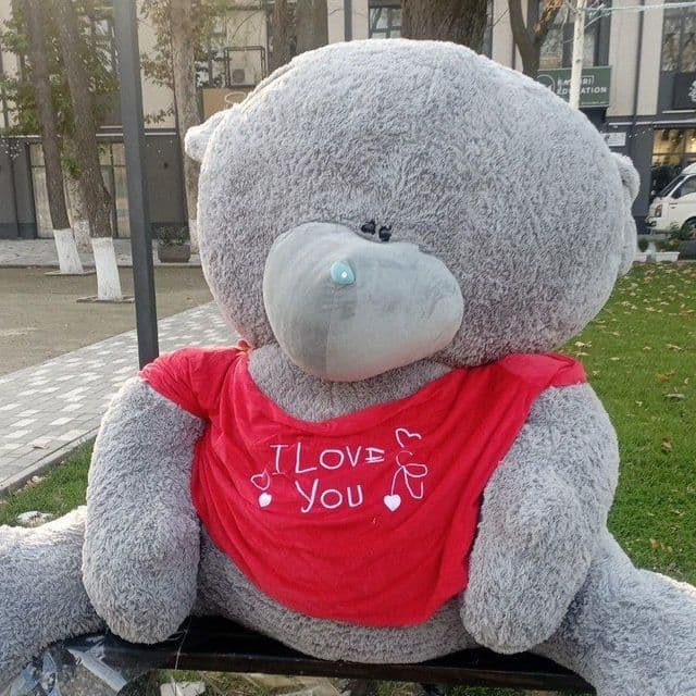 Teddiy, Ayuv sotiladi kotta odami bo'yide — 1