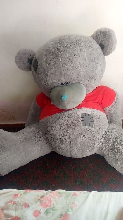 Teddy 160sm yangi — 1