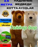 Ayiq Ayiqlar SOTILADI