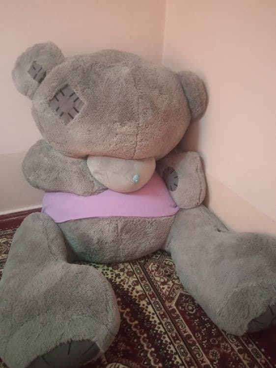 Teddy eng kattasi — 1