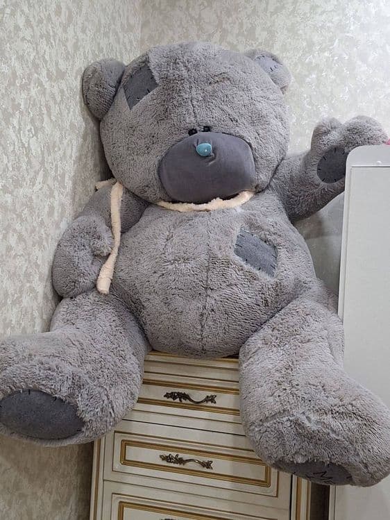 Мишка тедди новый — 1