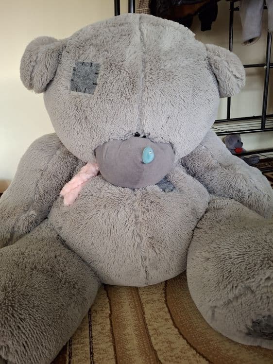 Teddy bear, 2 talik — 1