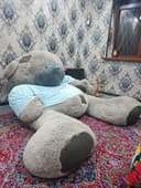 Teddy ayiq igrushka