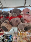 Teddy ayiqchalar har hil razmerda