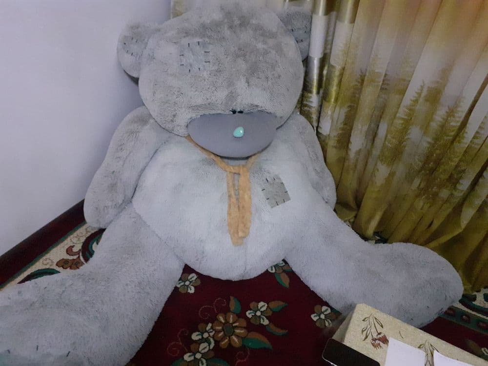 Teddy Мax ayiq rangi:kulrang — 1
