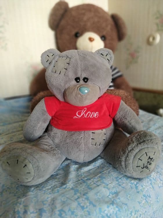 Игрушки мишки Тедди — 1