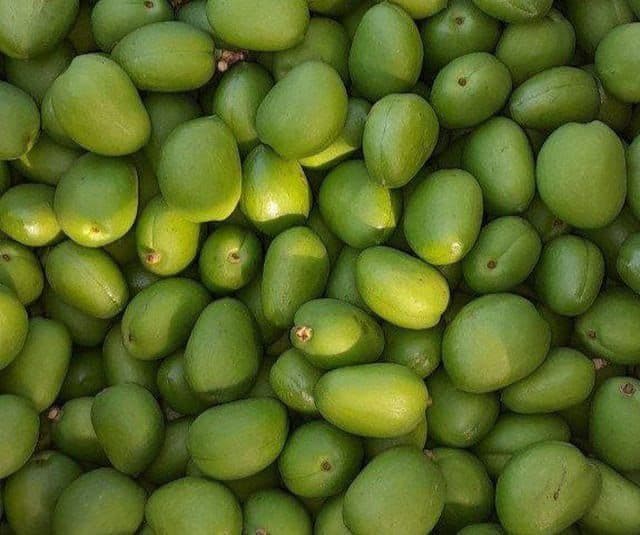 Dovcha bor kok sulton bor guloz bor va qulupney bor — 1