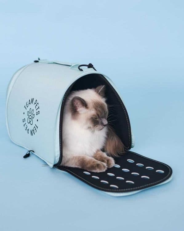 Переноска белая сумка для кошки или собачки. — 1