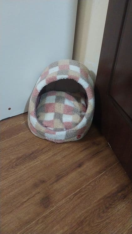Домик для кошек очень удобный — 1