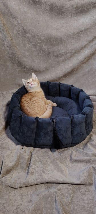 Лежанка для кошек — 1