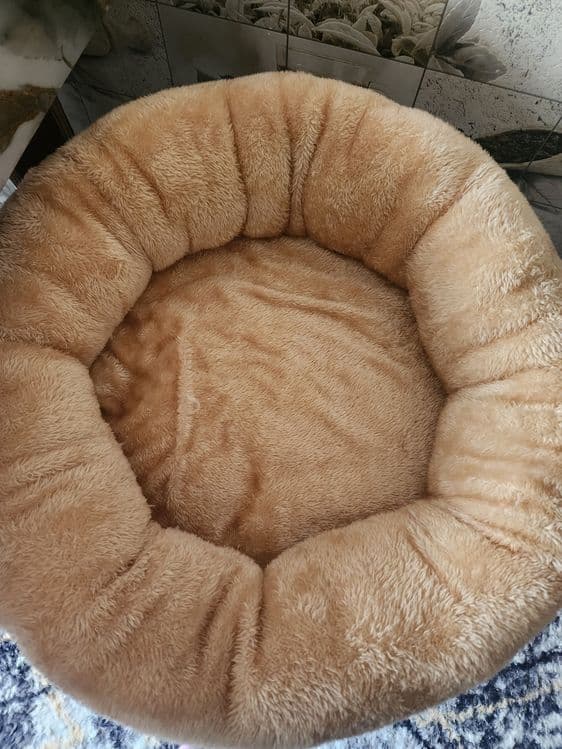 Продаёться лежак для кошки — 1