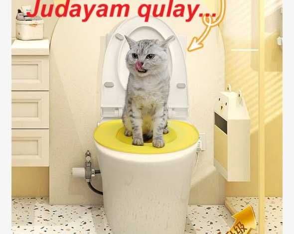 mushuk uchun gorshok — 1