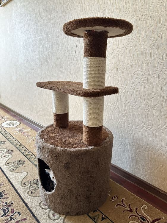 Домик для кошек — 1