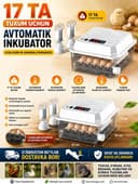 17 talik inkubator sotiladi