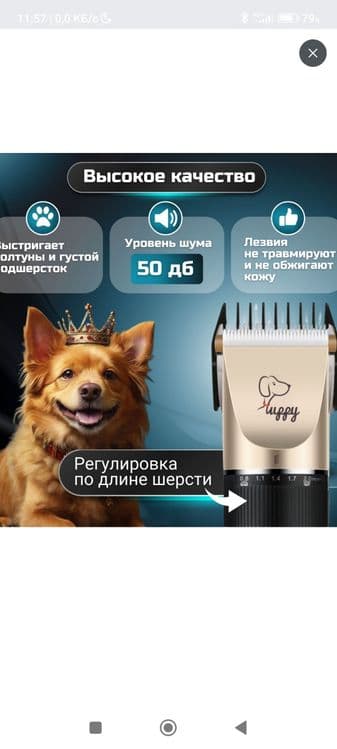В наборе для стрижки животных есть ножницы для подравнивания волосков — 1