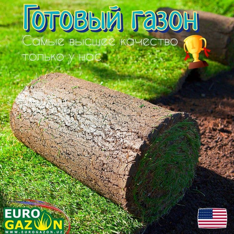Газон рулонный в Ташкенте — 1
