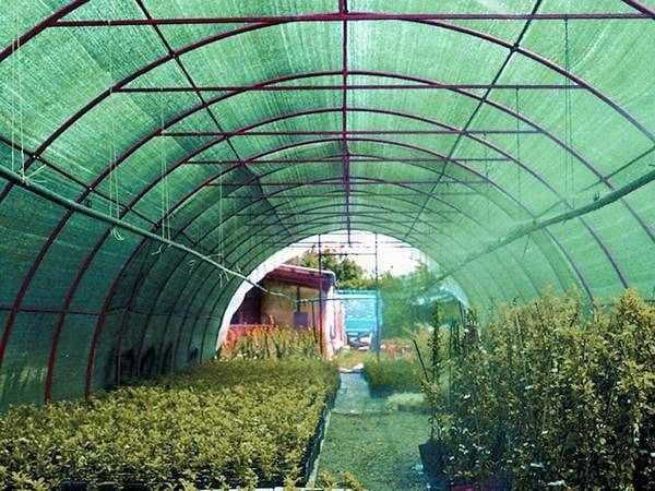 Қуёшдан сақловчи мато, парник, уй ва боғлар учун — 1