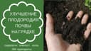Биогомус Чернозем Оптом