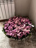 Цветы кустовык розы