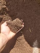 Tabiiy mineral ogit bio gomus sotiladi