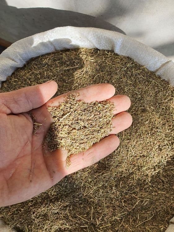 Sabzi uruģi sotiladi — 1
