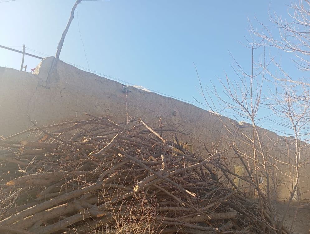 Daraxt va o'tin sotiladi — 1