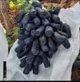 Аватар мондропс узум кучатлар бор — 1